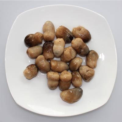 China The New Grade 2021 A Delicious Maling Can Large Straw Mushroom Canned Whole CM003 for sale