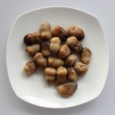 China Large Supply Straw Mushroom In Brine Boxed By Discount CM003 for sale