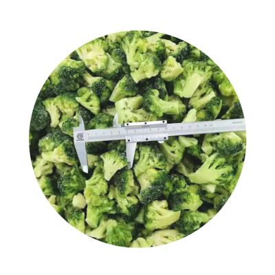 China High Quality Frozen Green Cauliflower Premium Iqf Broccoli Cut FROZEN for sale