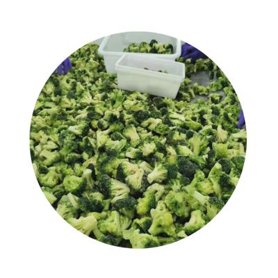 China Premium Quality Broccoli Cut Cauliflower Carrot Iqf Frozen Vegetable JELLY for sale