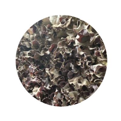 China High Quality Iqf Freeze FROZEN Food Frozen Black Fungus Slices Cut for sale