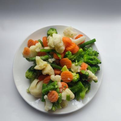 China Best Low Price Iqf Mix Vegetable FROZEN with Carrot&Cauliflower for sale