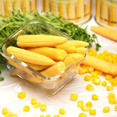 China High Quality Canned Whole Fresh Canned Baby/Cut Corn for sale