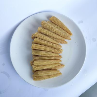 China China Supply Large Canned Canned Food High Quality Baby Corn Canned Food In China for sale