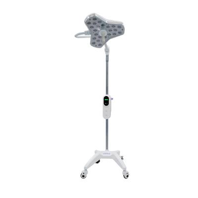 China Portable Led Mobile Examination & Operation Medical General Surgery Examination Lamp for sale