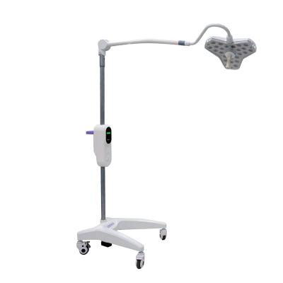 China Removable Portable Examination And Operation Floor Mobile Medical Examination Lamp for sale