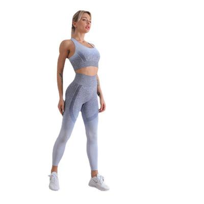 China New Arrival Gym Fitness Crane Antibacterial Yoga Wear Active Reusable Cloth Wear Fitness Sports Clothing Yoga Set For Women for sale