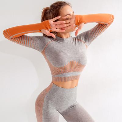 China Breathable Quality Yoga Tops Gradient Sports Guaranteed Fitness Long Sleeve Elastic Seamless Yoga Wear Tops For Lady for sale