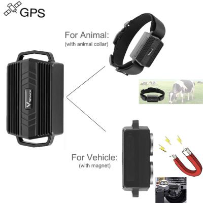 China 2021 GPS Tracker TKSTAR TK935 Long Standby 2G GPS For Vehicle And Animal Tracking 94mm x 46mm x 31mm (3.7