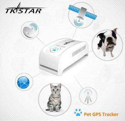 China TKSTAR GPS / Winnes GPS Tkstar pet tracking device tk909 with pet collar real time dog tracking device for sale