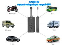 Cina SMS libbre GPS che segue l'allarme 1800MHZ GPRS LTE FDD di vibrazione del dispositivo in vendita