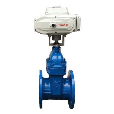 China 220VAC 380VAC General Multi-turn Actuator Flange Resilient Seated Malleable Motorized Gate Valve for sale