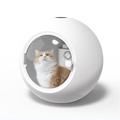 China Viable Wholesale Cheapest Price Pet Spherical Pet Bath Dryer Air Cleaning Dryer For Pets for sale