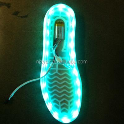 China USB rechargeable led portable led strips for shoes ZY-shoe L for sale