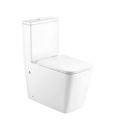 China Dual-Flush Popular Sanitary Wares Bathroom Toilet Water Closet WC S-trap Toilet Bowl for sale