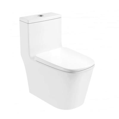 China Automatic Operation Customizable One Piece Wc Washdown Dual Flush Button P Trap Eco-friendly Toilet for sale