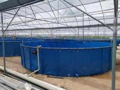 China Steel Frame custom Fish farming Tank for sale