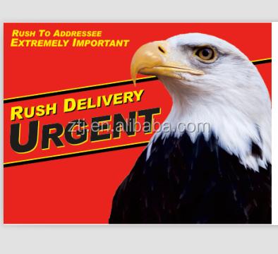 China Recyclable Urgent Envelopes Rush Priority Envelopes DHL Style Envelopes for sale