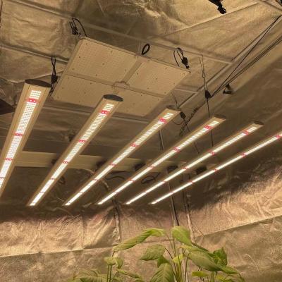 China Seed Starting Full Spectrum High Efficiency IP 66 Greenhouse LED Plant Growth Lamp for sale