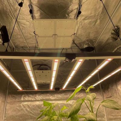 China Seed Starting Foldable Full Spectrum To Grow Vertical Light Bar Agriculture Led To Grow Light 600W for sale