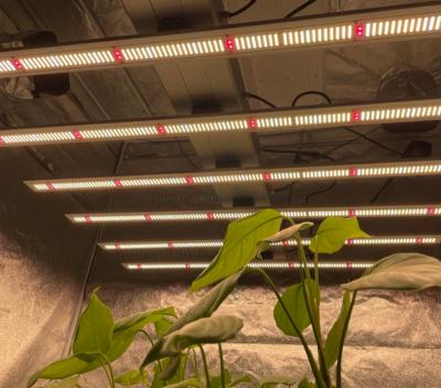 China Seed Starting Best Price High Quality Folding Plant Lamp Led Grow Lamp Indoor Led Night Lights Plant Lamp for sale