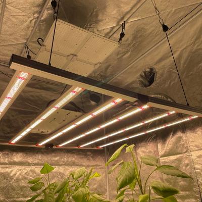 China Seed Starting Greenhouse Shed Bright Top Light 800W Plant Lamp Fill Light for sale