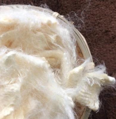 China Premium Quality Soybean Protein Fiber Textile with High Protein Content for sale