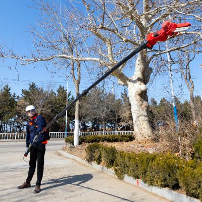 China 25 FT Carbon Fiber Battery Powered Pole Chainsaw for Shrub and Hedge Maintenance Double Lock for sale