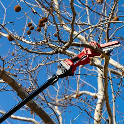 China 3m-7m Electric Extendable Tree Pruner Pure Carbon Telescopic Tree Pruner Electric for sale