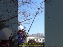 Electric Telescopic Tree Pruner