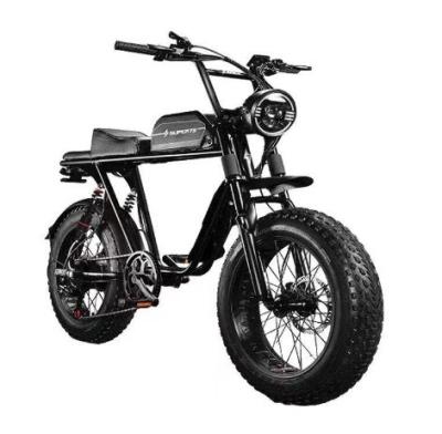 China Off-Road Battery Bike with 35KM/H Max Speed Front and Rear Disc Brakes Electric Bike for sale