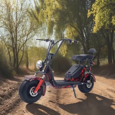 China Scooter portátil para adultos Citycoco con batería extraíble de 8,8AH modelo X17 y asiento grande en venta