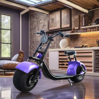 Chine Scooter électrique 60V 12AH alimenté par batterie pour personnes âgées Scooter de mobilité à deux roues à deux places à vendre