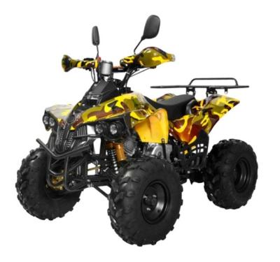 China Off-Road Enthusiasts 500-800W Electric Start 4-Stroke Single Cylinder Air-Cooled ATV for sale