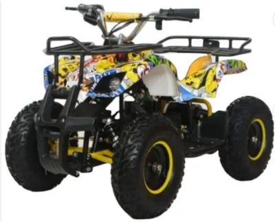 中国 EATV1000A 子供用の電気用ATV4輪玩具車 積載容量 ≤100kg 販売のため