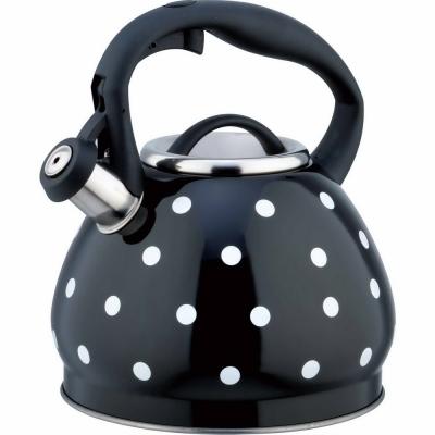 China 3.0 Liter Point Design Stainless Steel (Tetera Acero Inoxidable, Wasserkessel, Ceainic, Bollitori) 304 Sustainable Water Whistling Kettle for sale