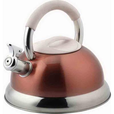 China 3.0L Metal Stainless Steel Water Kettle (Whistling Kettle) for sale