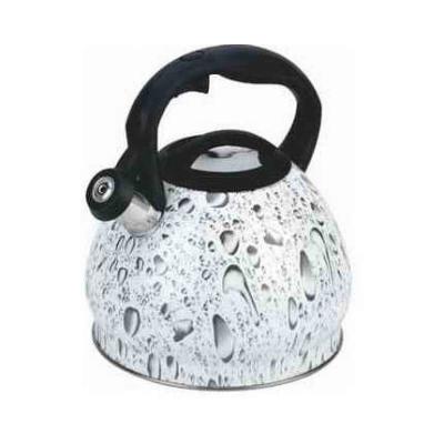 China Sustainable Cubic Induction Stainless Steel Print Whistling Kettle Teapot for sale