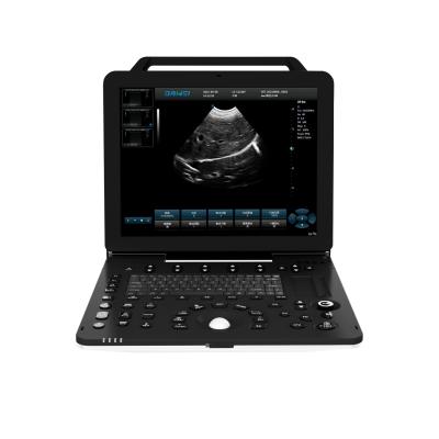 China Cat Professional 4d Pregnant Ultrasound Machine Animal Health Diagnostic Dawei Echo Vet Canine Ultrasound for sale