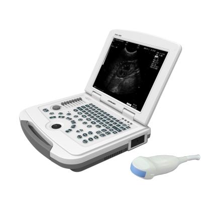 China Dawei Portable Veterinary Ultrasound Scanner Animal Health Diagnostic Pig Testing Equipment Ultrasound Pregnant Device for sale