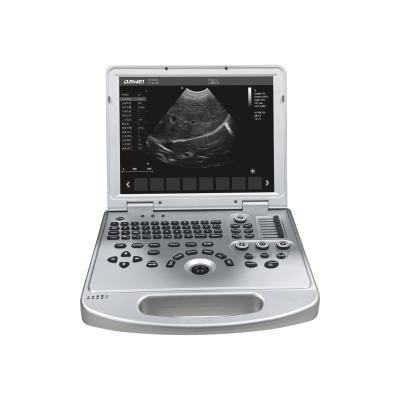 China Affordable Animal Health Diagnosis Dawei Veterinary Canine Cardiac Ultrasound For Dogs for sale