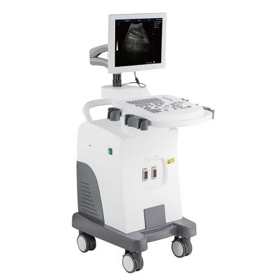 China DAWEI MT15 Plastic Vet B&W Ultrasound Trolley Digital Full Digital Ultrasound Machine Price for sale