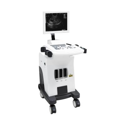 China DAWEI Cat Abdominal Stomach Pregnant Dog Sonogram Plastic Ultrasound Cost From A Cat Ultrasound Near Me for sale