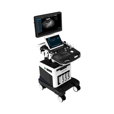 China Animal Health Diagnosis DAWEI High End THI Color Ultrasound Machine for Different Animal Ultrasound Diagnosis for sale