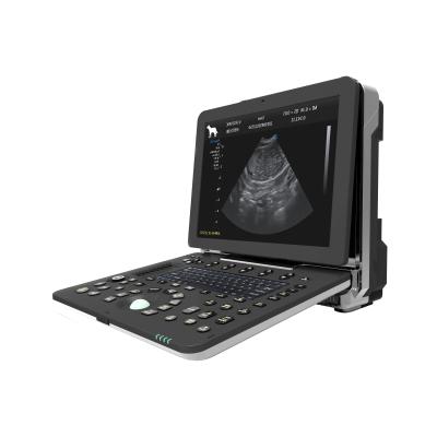 China DAWEI High Performance Pet Cow Pregnancy Plastic Testing Machine 3D 4D Medical Ultrasound Scanner for sale