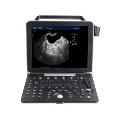 China Freehand New Portable Veterinary Launch Color 3D Imaging Ultrasonic Diagnostic System for sale