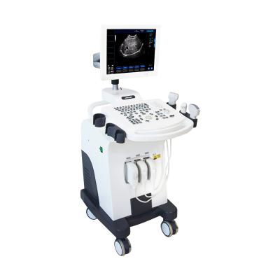 China 15 Inch LCD Monitor PC Platform Cart Full Digital Ultrasound Veterinary Diagnostic System for sale