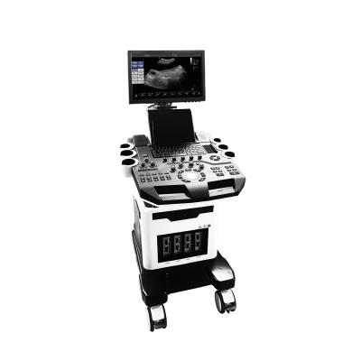 China Sound Echo Vet Ultrasound Animal Health Diagnosis Dawei Ultra Veterinary Ultrasound Machine for sale