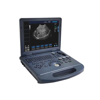 China Animal Health Diagnostic Dawei Pregnant Dog Sonogram Ultrasound Dog Kidney Scanning A Dog For Pregnancy for sale