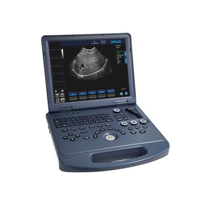 China Animal Health Diagnosis Dawei Pet Diagnostic Imaging Cat Sonogram Pregnant Puppy Sonogram On Ultrasound for sale